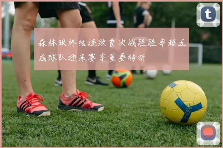 森林狼终结连败首次战胜胜率超五成球队迎来赛季重要转折