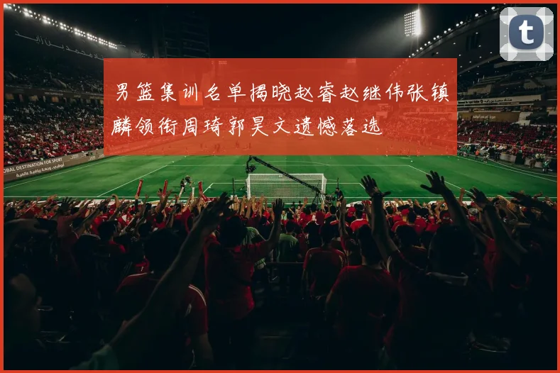 男篮集训名单揭晓赵睿赵继伟张镇麟领衔周琦郭昊文遗憾落选